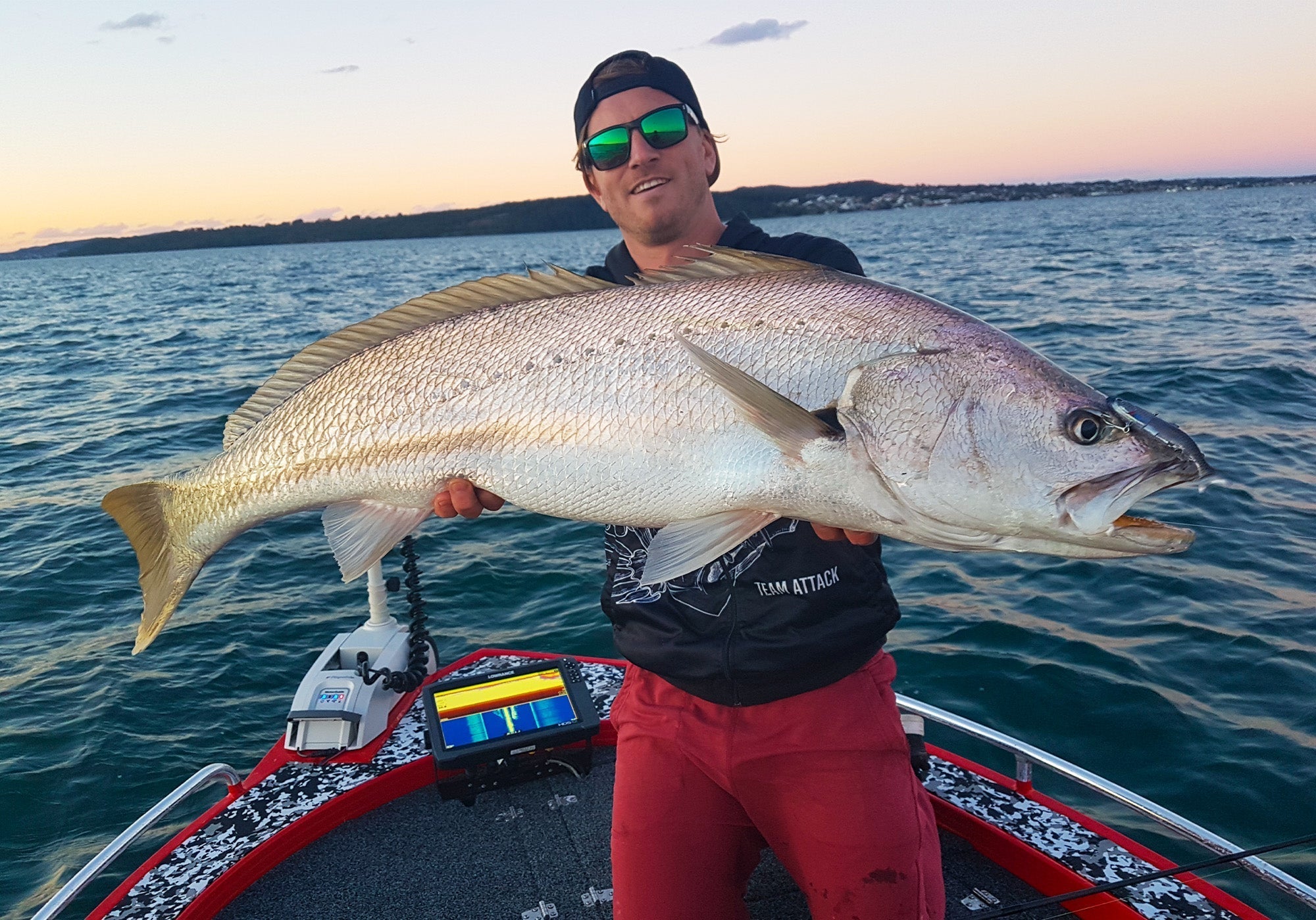 Targeting Jewfish on Soft Vibes with Dan Guilfoyle