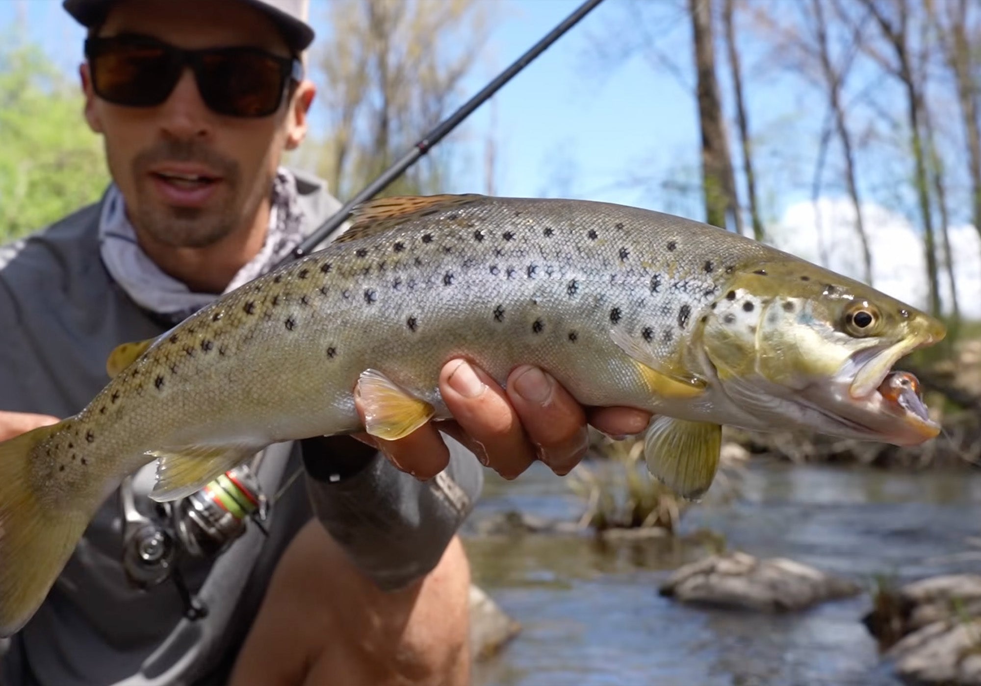 How to Catch Wild Trout in Small Streams