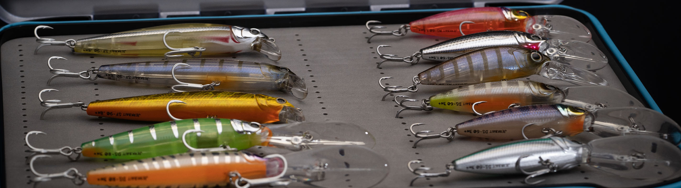 Fishing best sale lure storage