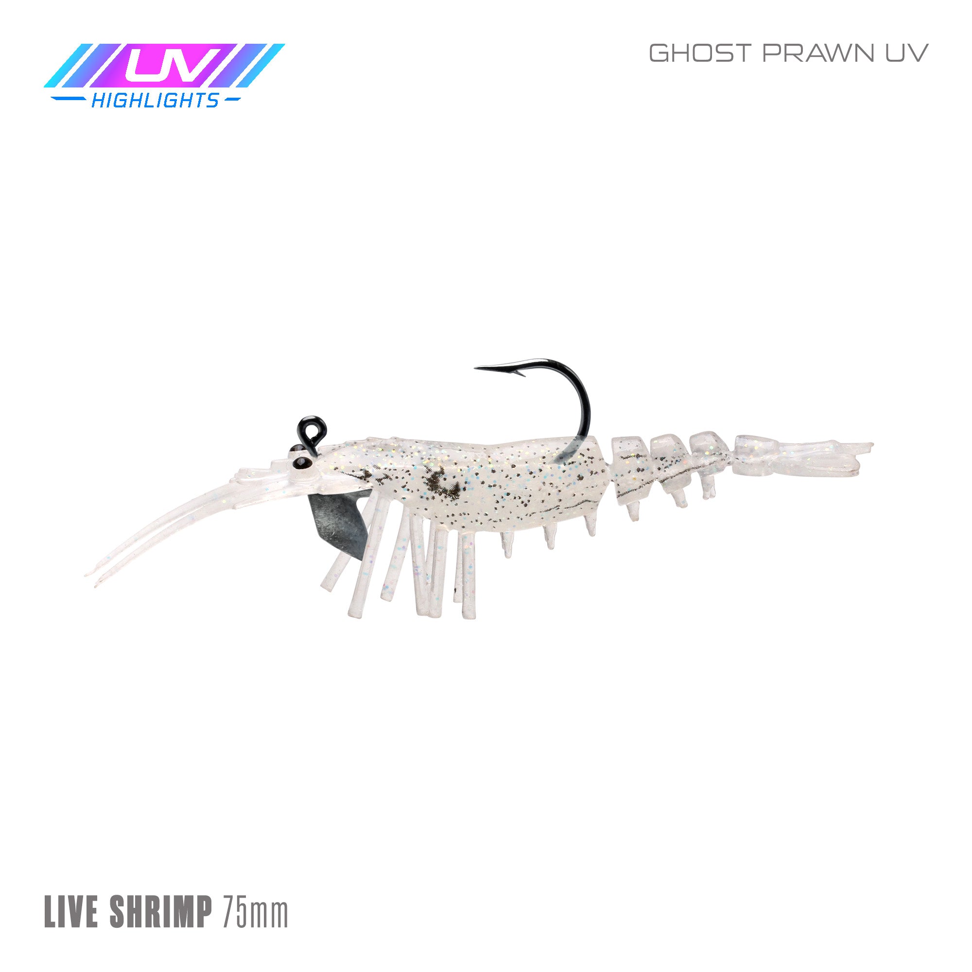 Live Shrimp 75mm