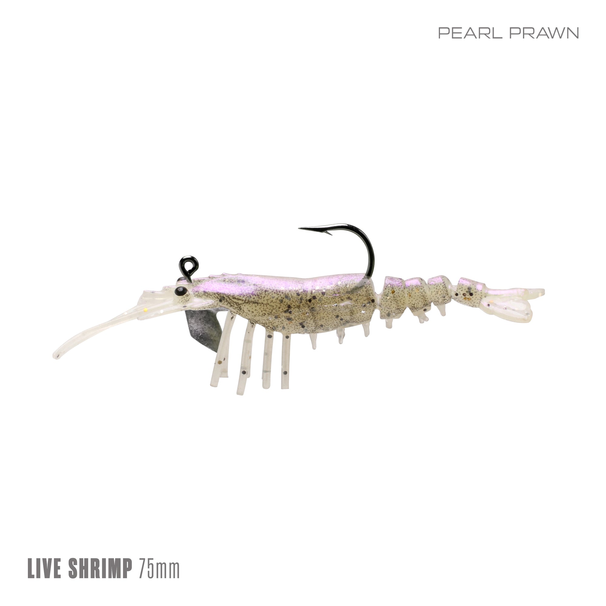 Live Shrimp 75mm