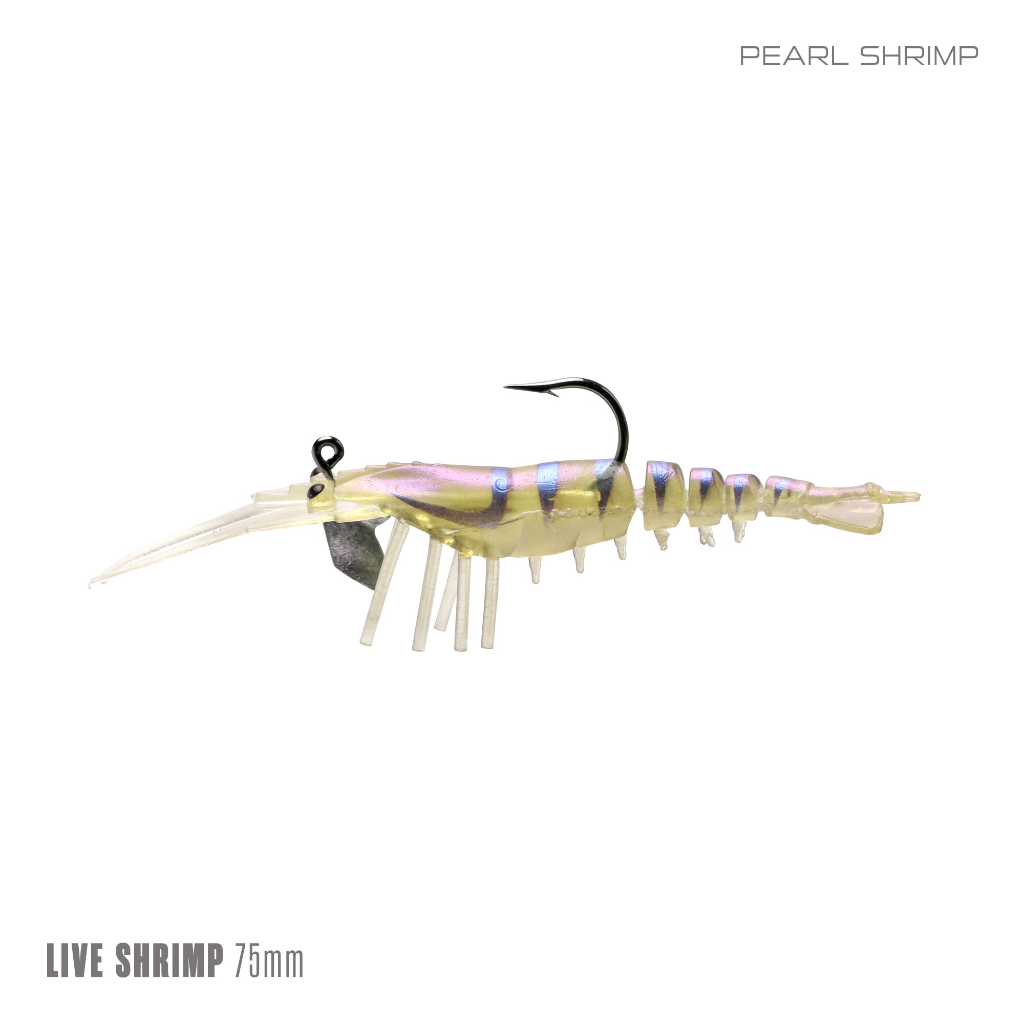 Live Shrimp 75mm