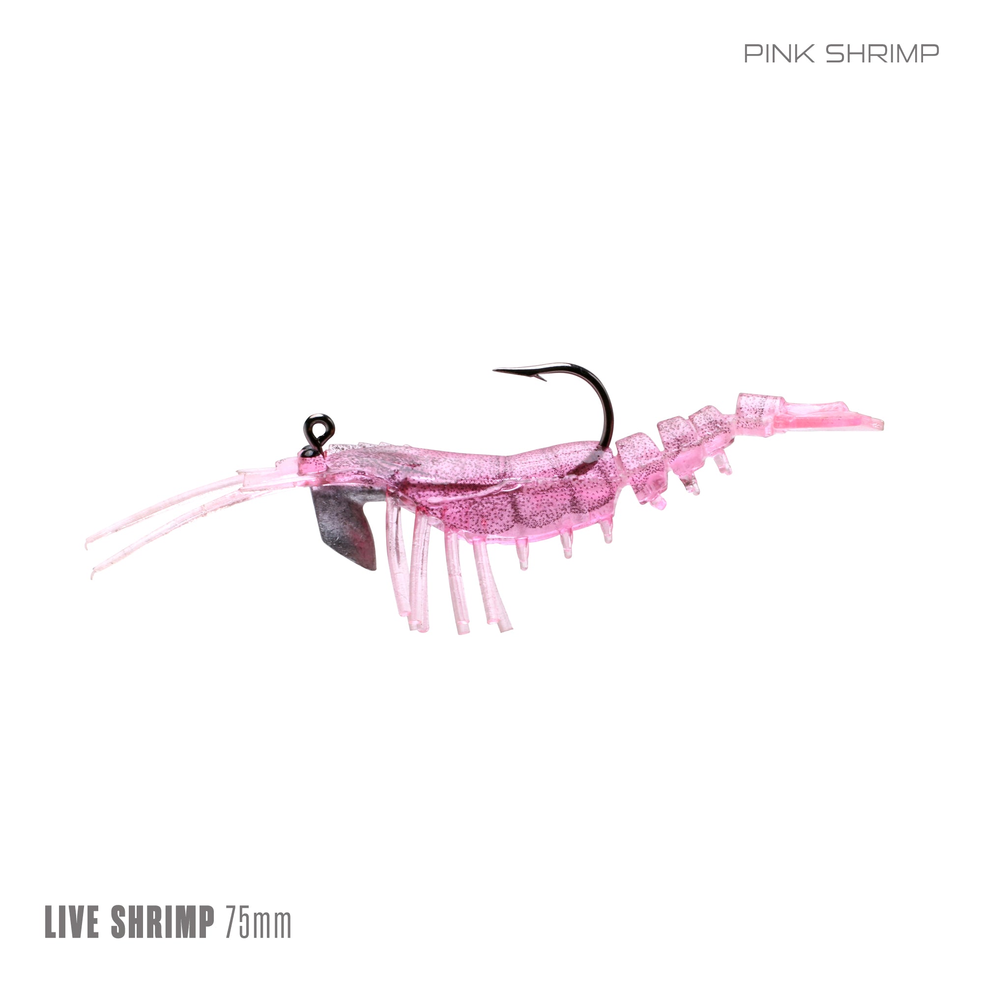 Live Shrimp 75mm