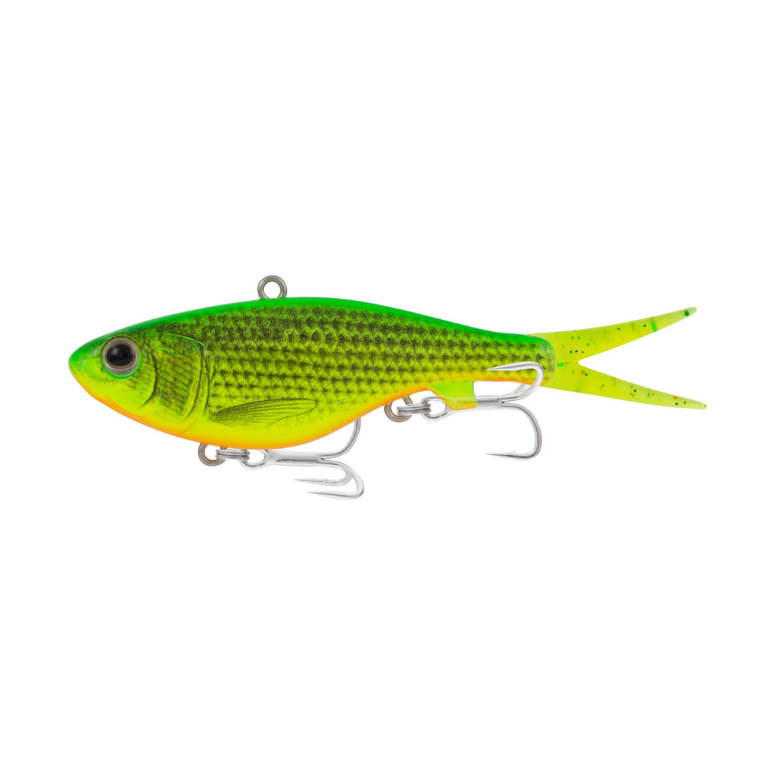 Tropical Mullet