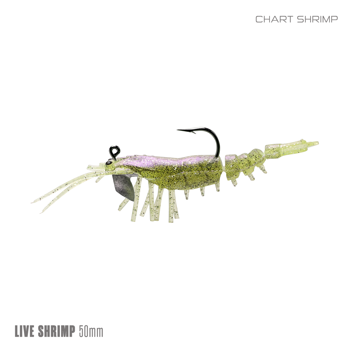 Live Shrimp 50mm