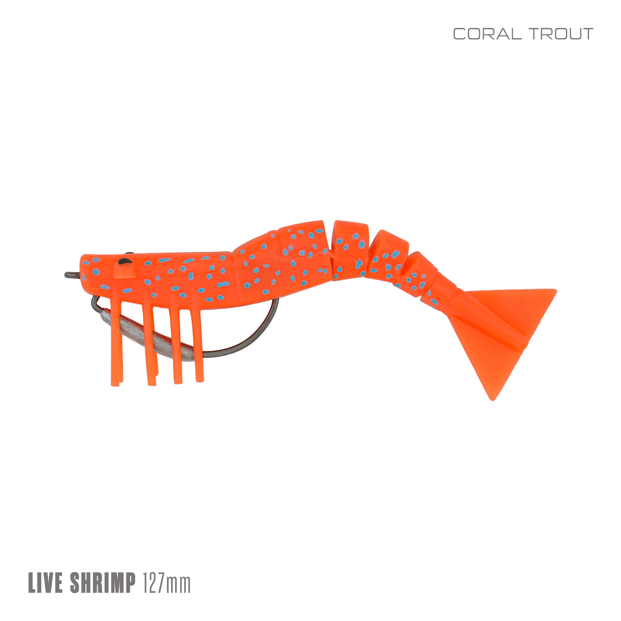 Live Shrimp 127mm