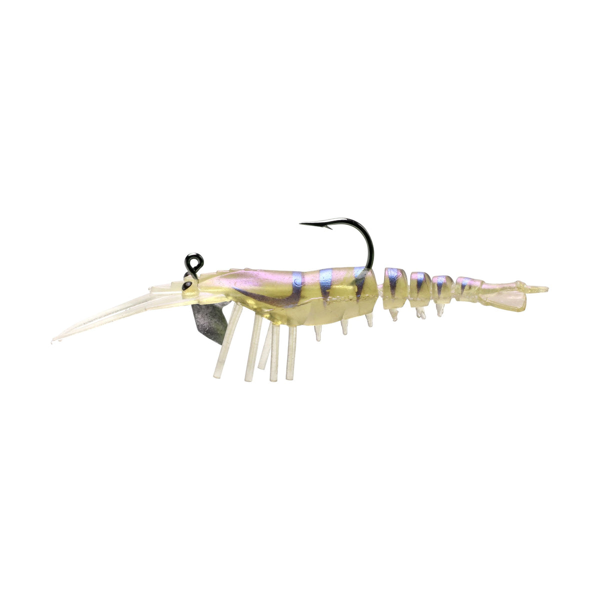 Live Shrimp 50mm