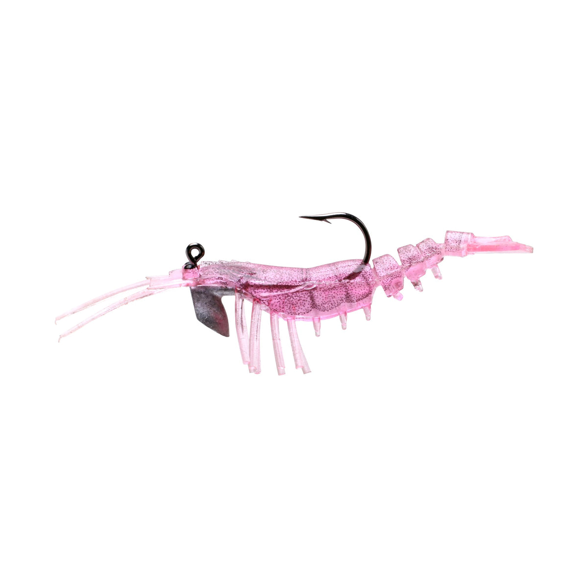 Live Shrimp 50mm