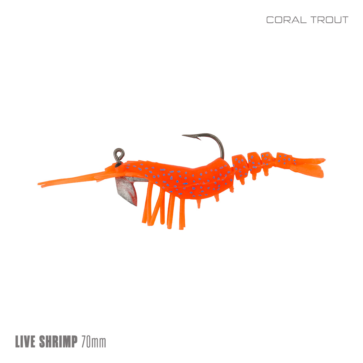 Live Shrimp 75mm