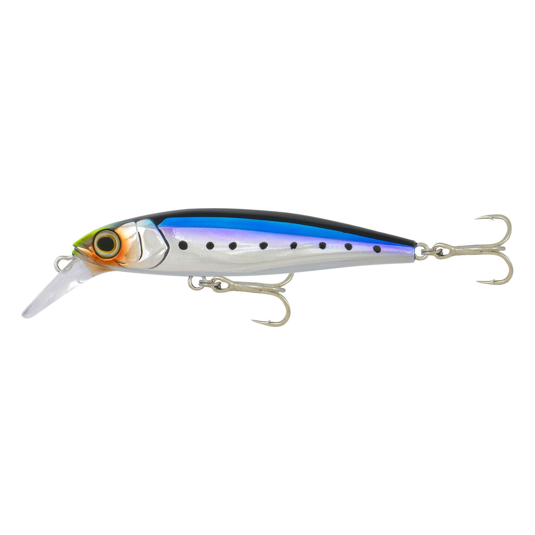 Purple Pilchard