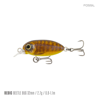 Fossil