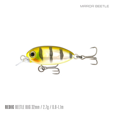 Mirror Beetle