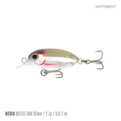 Whitebait