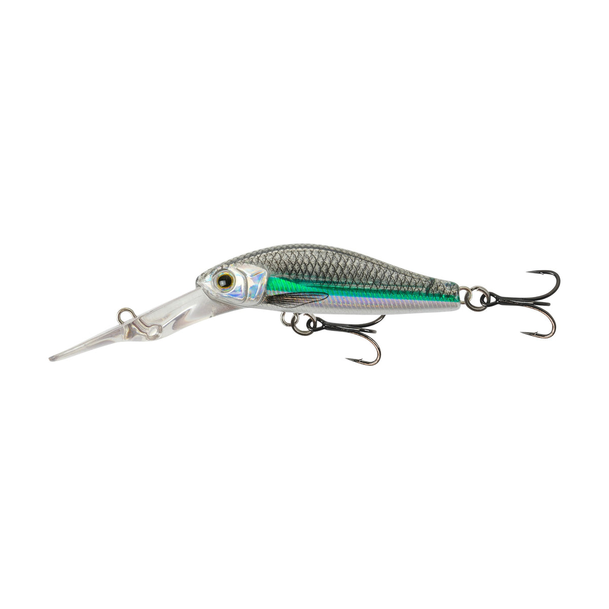 Samaki Redic DF50, Hardy Head