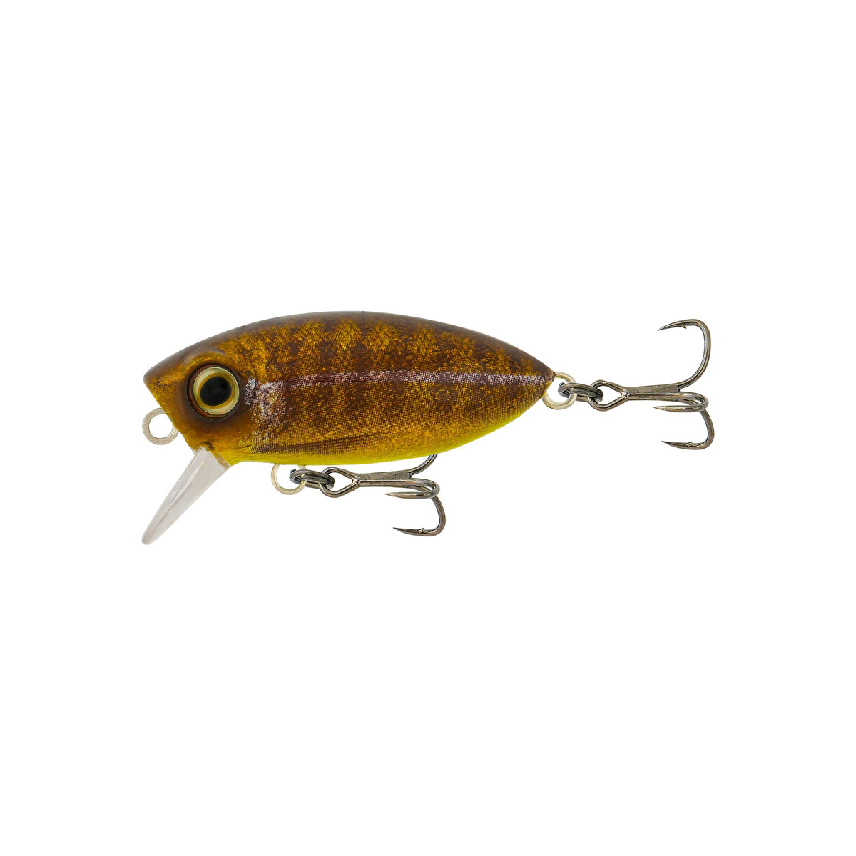 Redic Footy Bug SF40