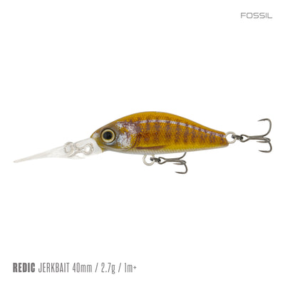MS40LC / Fossil