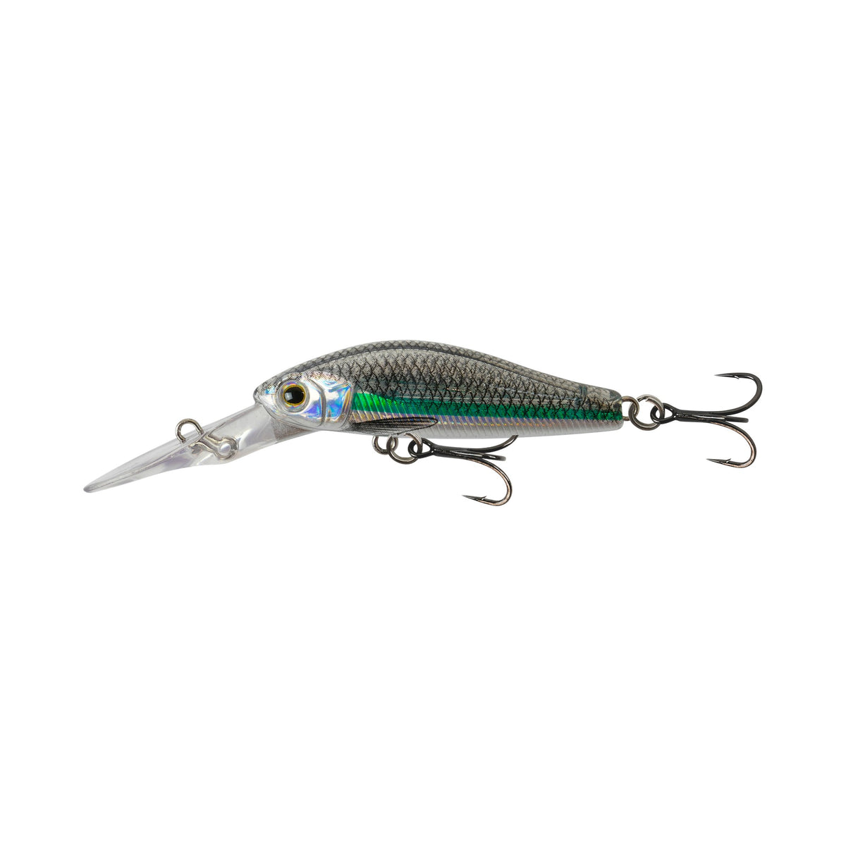 Samaki Redic MF50, Hardy Head