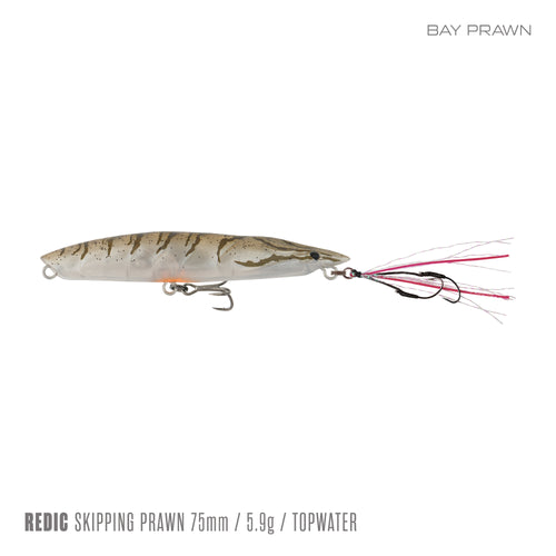 Bay Prawn