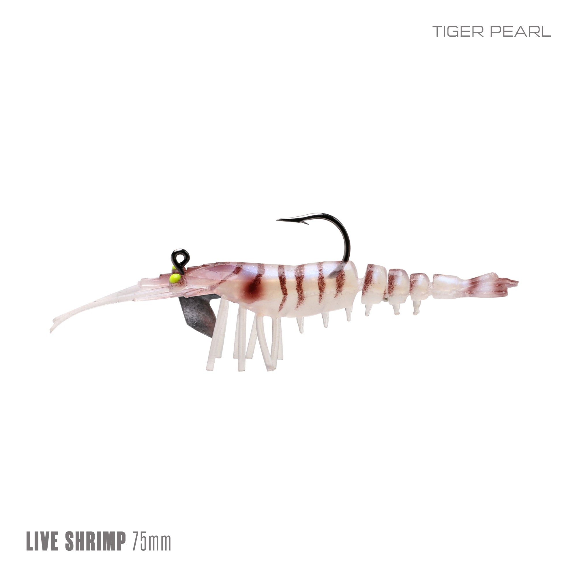 Live Shrimp 75mm