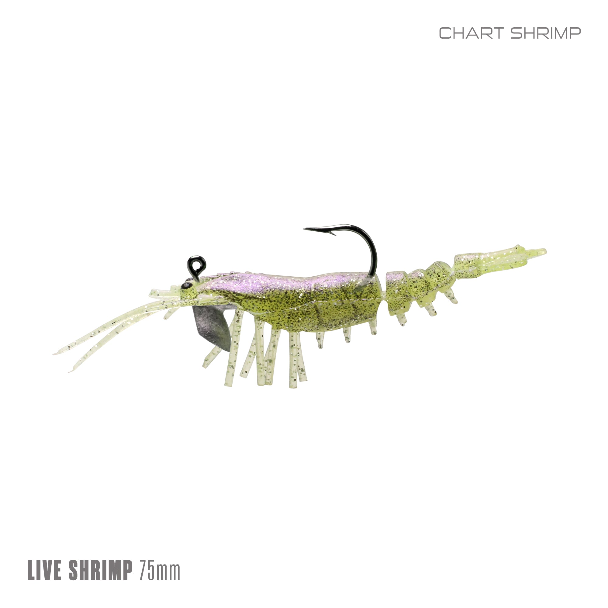 Live Shrimp 75mm