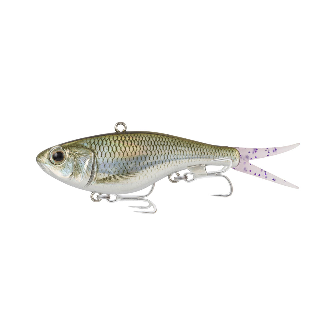 Bony Bream
