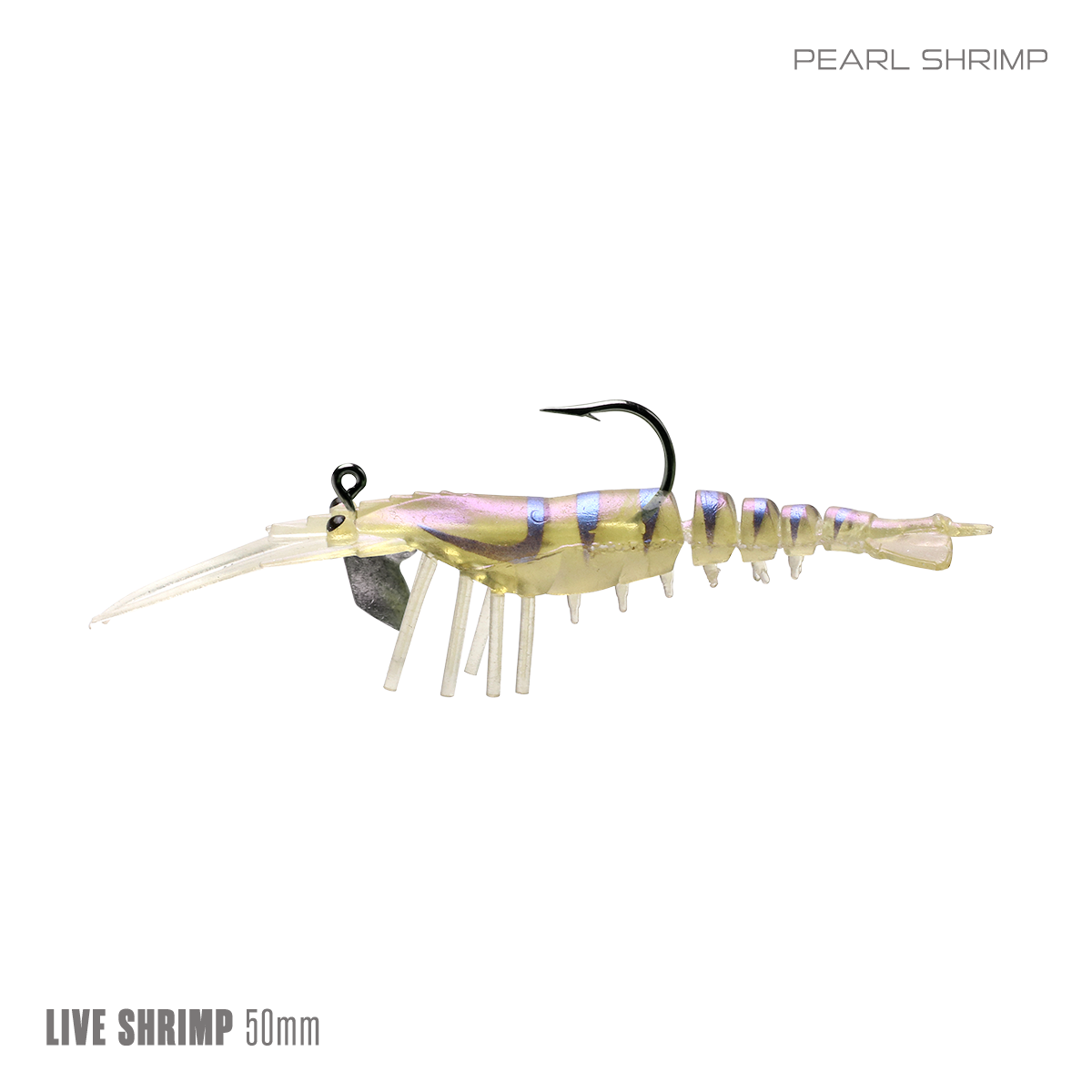 Live Shrimp 50mm