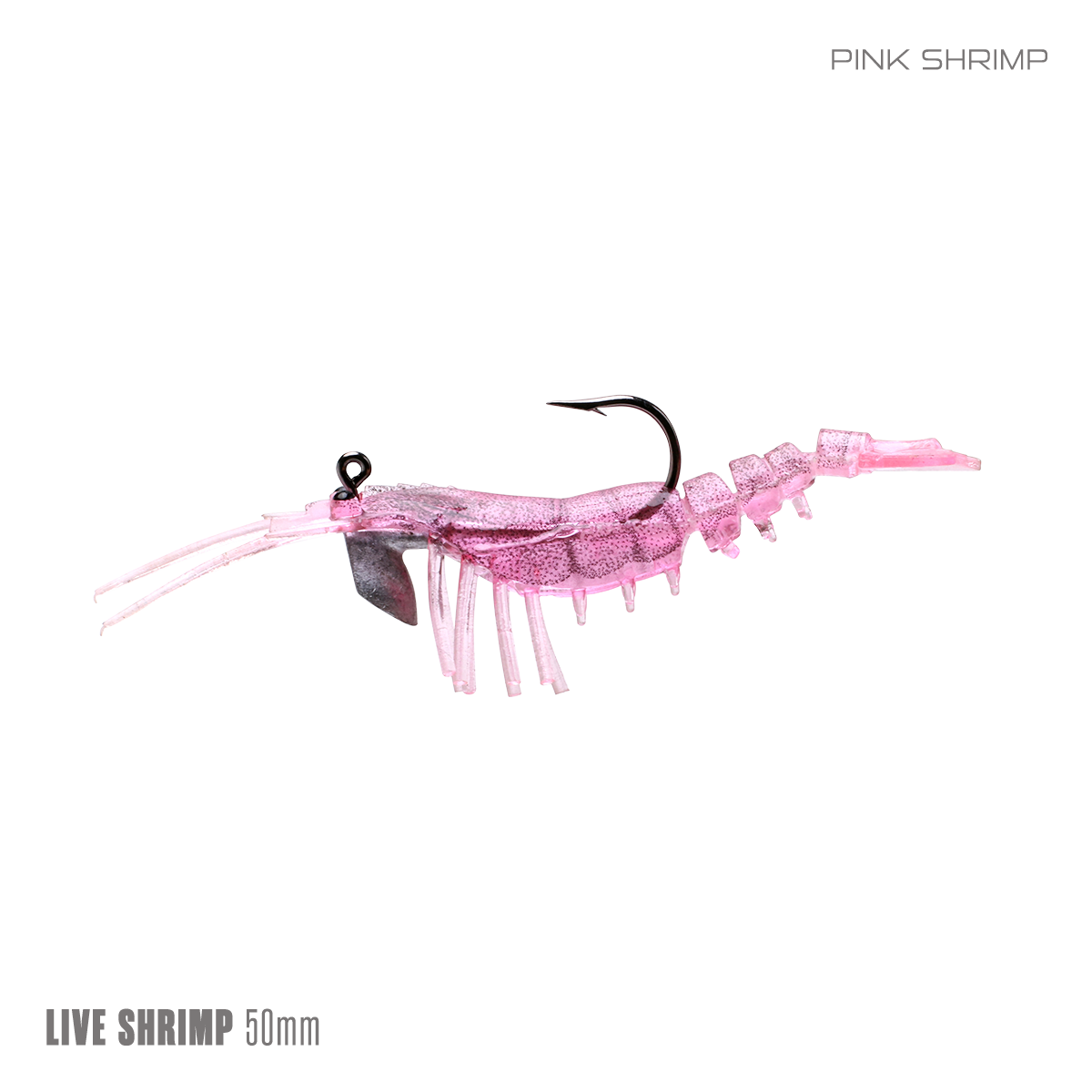 Live Shrimp 50mm