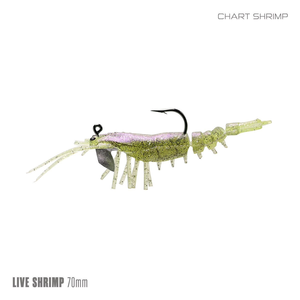 Live Shrimp 70mm