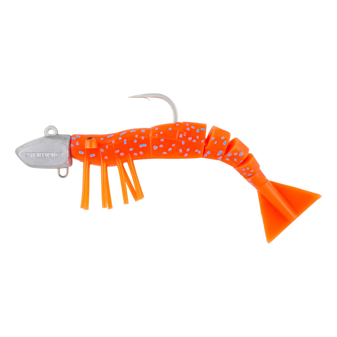 Coral Trout
