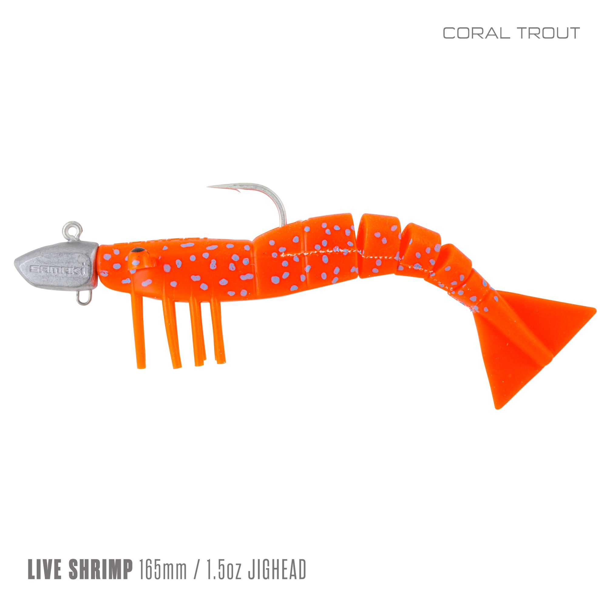 Live Shrimp 165mm