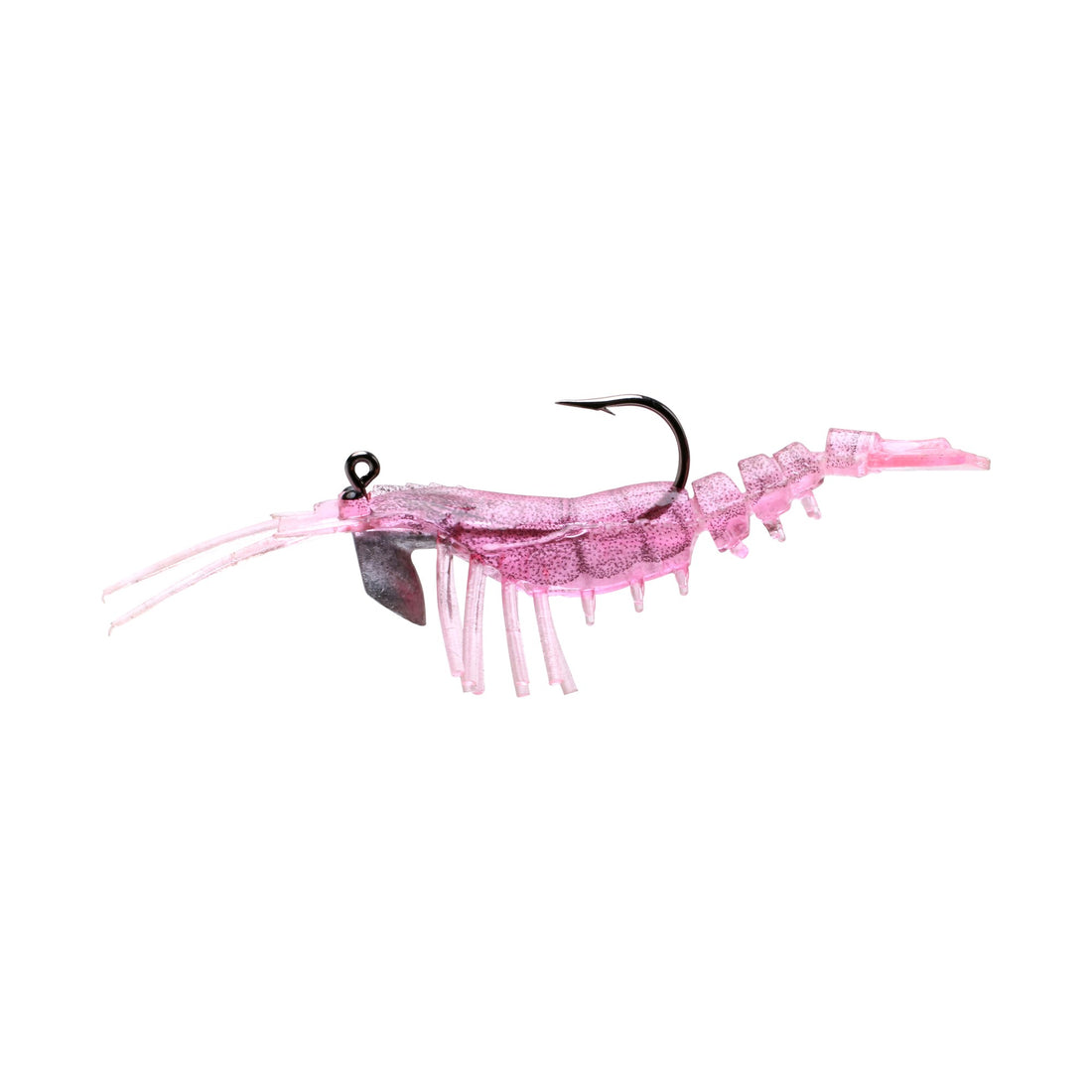 Pink Shrimp