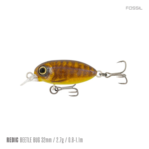 Fossil