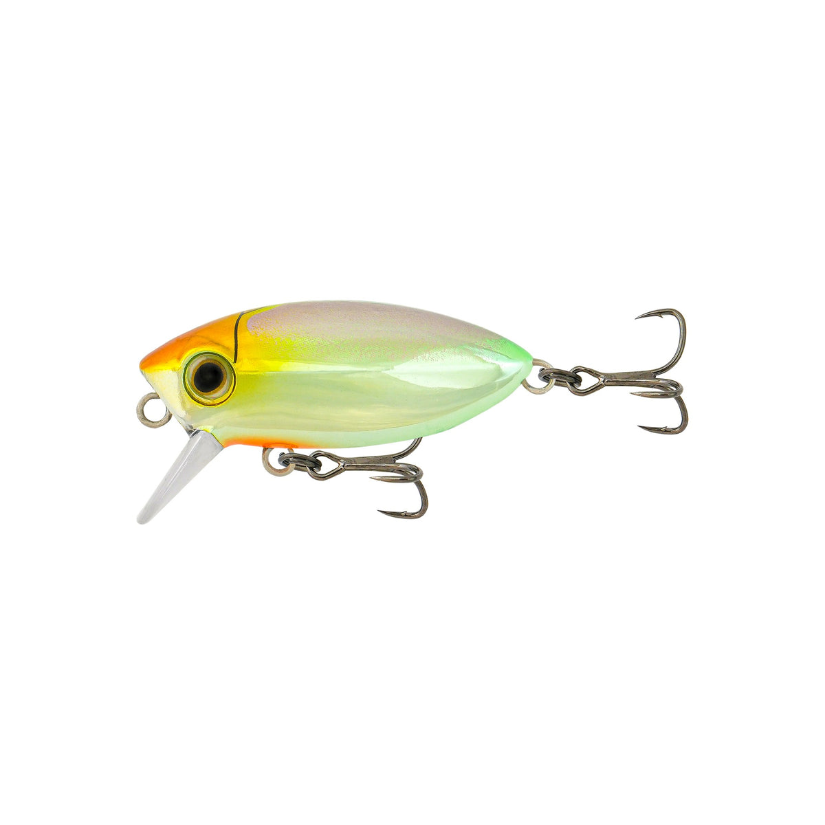 Redic Footy Bug SF40