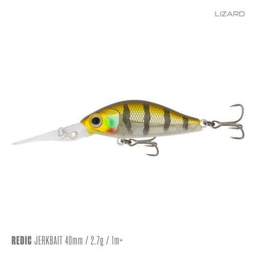 MS40LC / Lizard