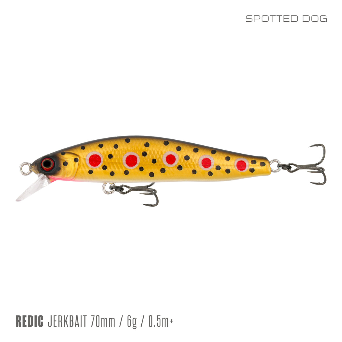 Samaki Redic SF70LC, Spotted Dog