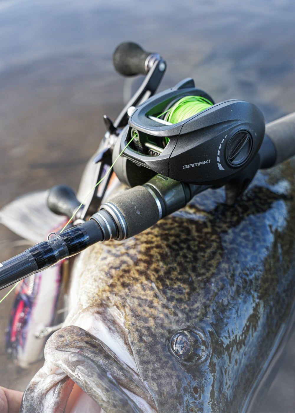 Samaki Australia | Zing HD